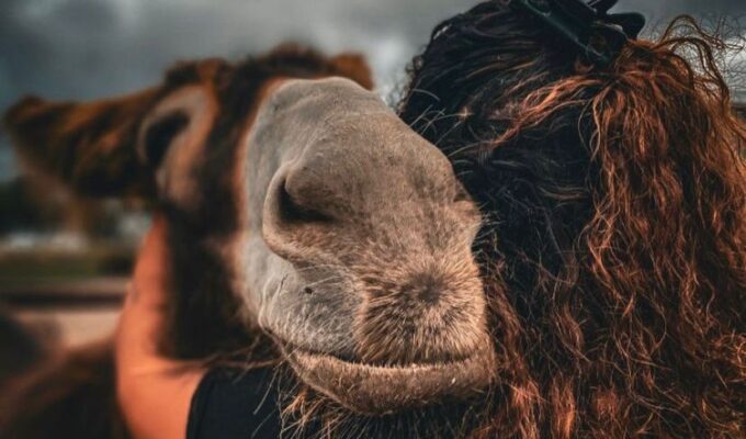 doen wat je leuk vindt