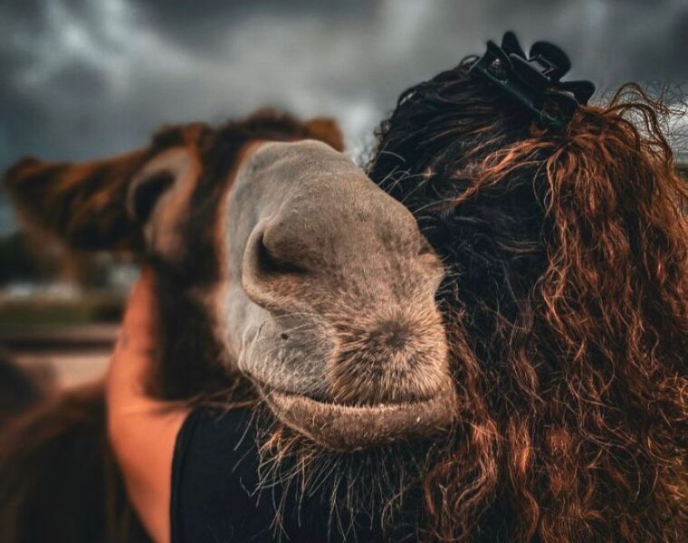 doen wat je leuk vindt