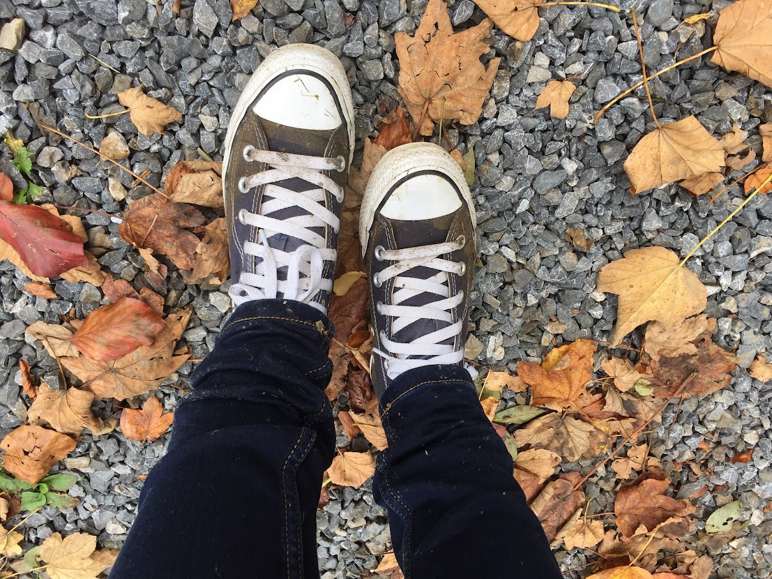herfstwandeling