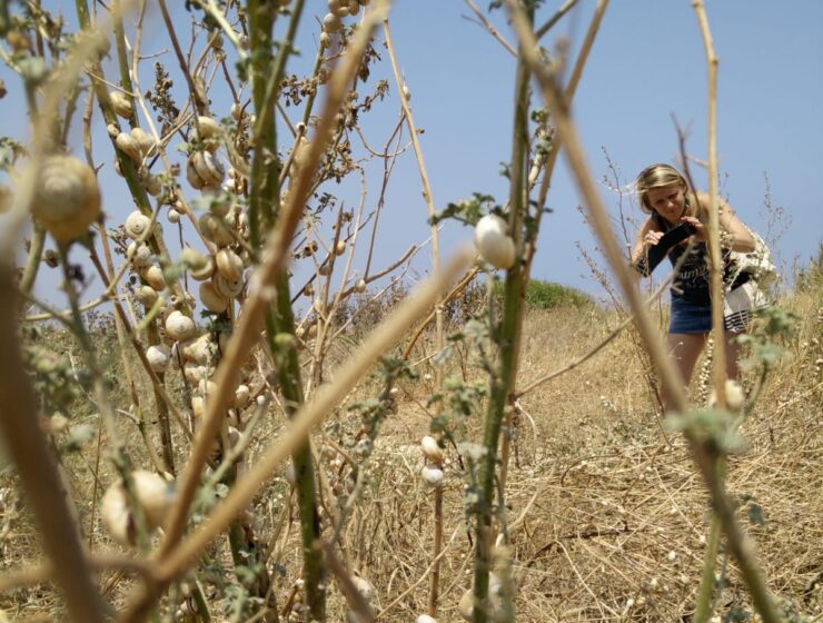 geen zin na vakantie